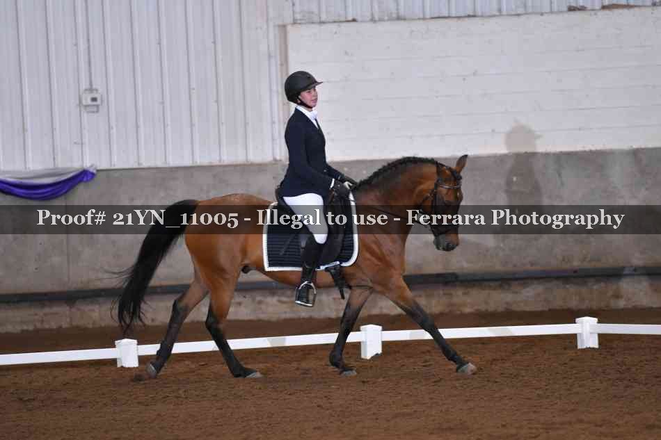 Proof 21YN_11005
