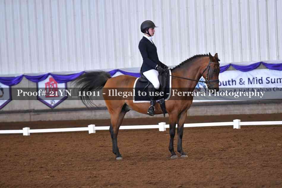 Proof 21YN_11011
