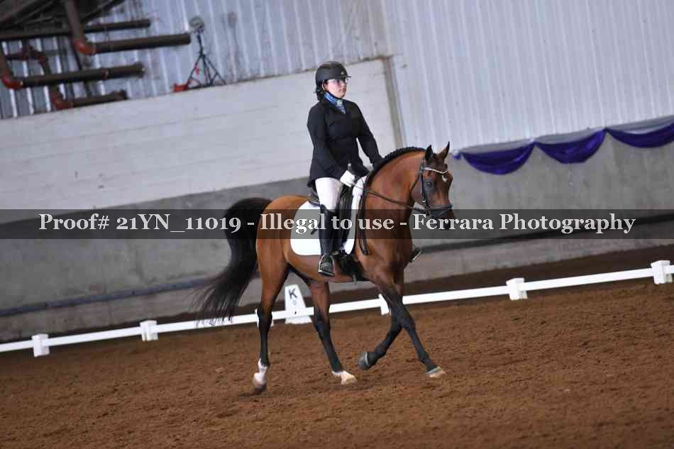 Proof 21YN_11019