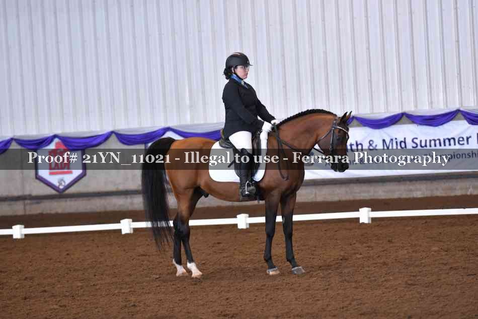 Proof 21YN_11021