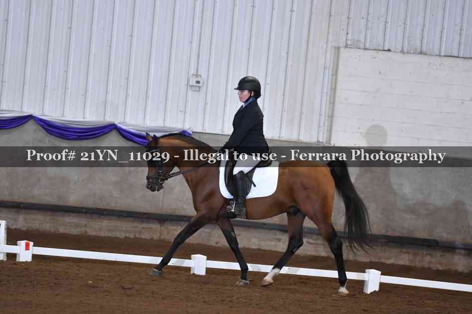 Proof 21YN_11029