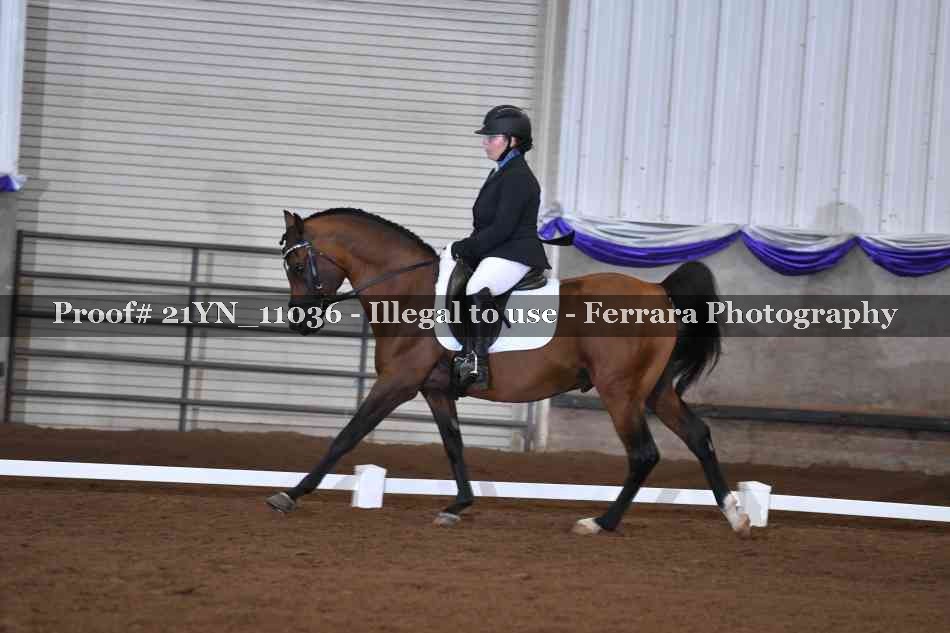 Proof 21YN_11036