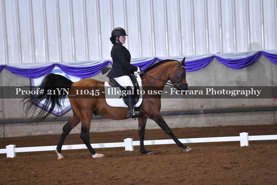 Proof 21YN_11045