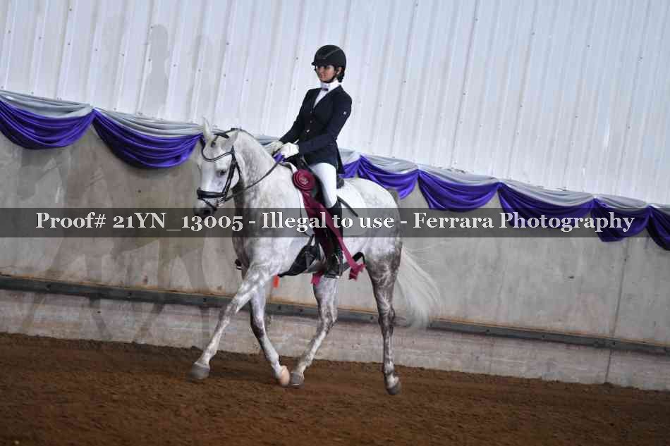Proof 21YN_13005