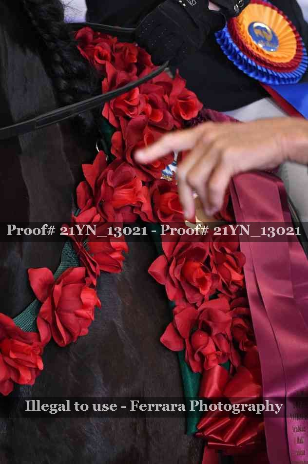 Proof 21YN_13021