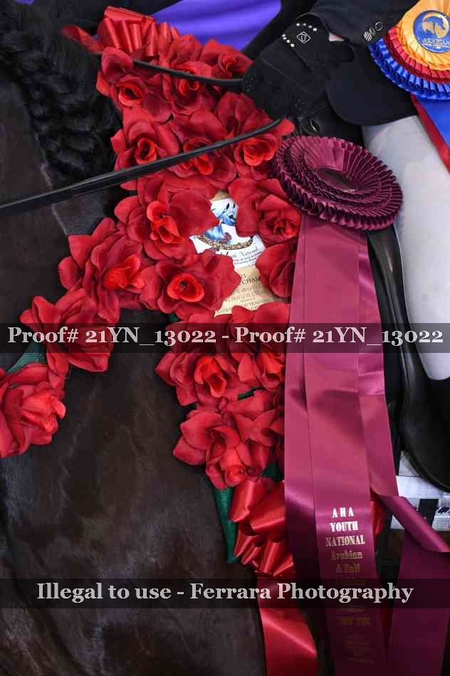 Proof 21YN_13022