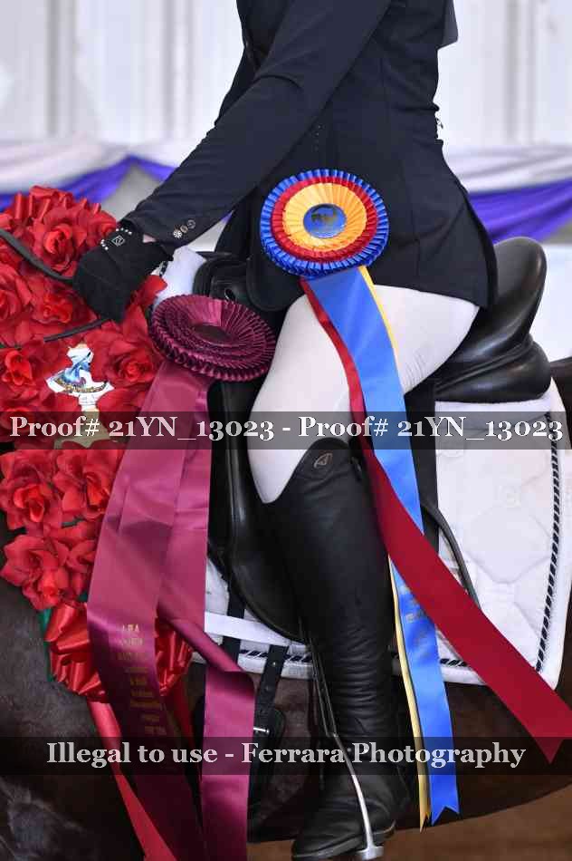 Proof 21YN_13023
