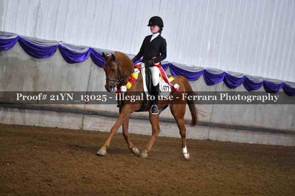 Proof 21YN_13025