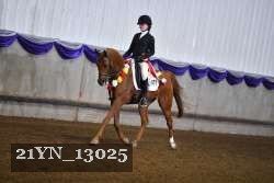 21YN_13025 proof