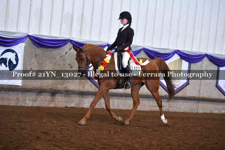 Proof 21YN_13027
