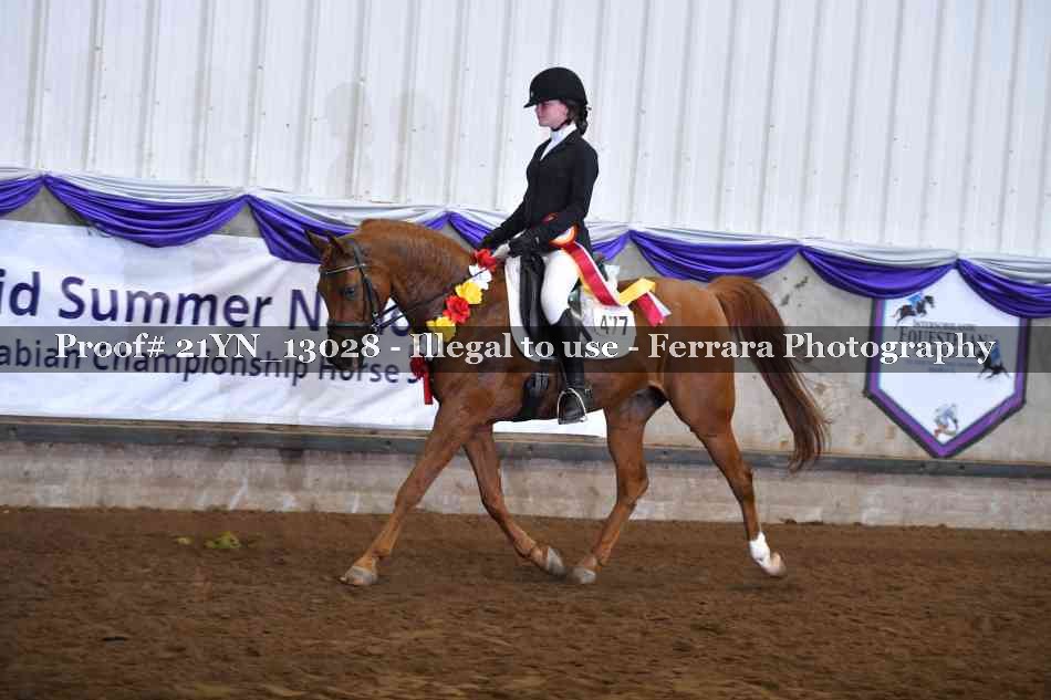 Proof 21YN_13028