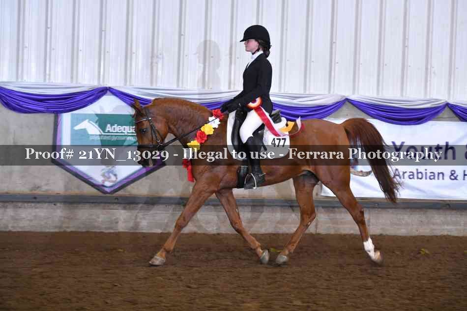 Proof 21YN_13029