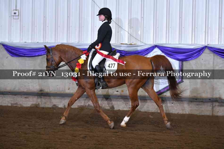 Proof 21YN_13031