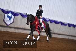 21YN_13032 proof