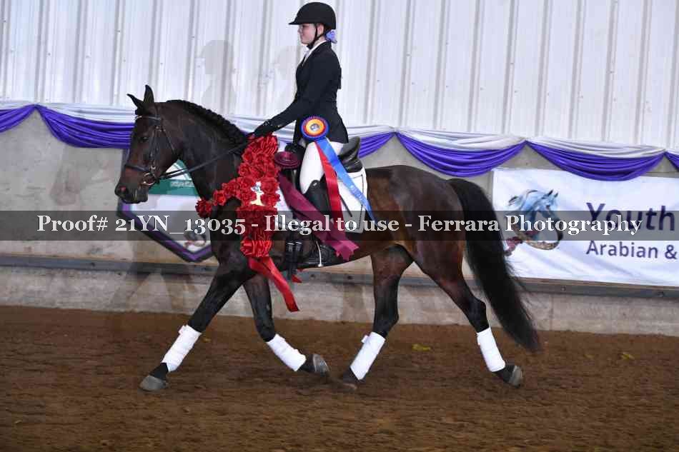 Proof 21YN_13035