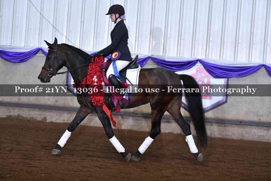 Proof 21YN_13036