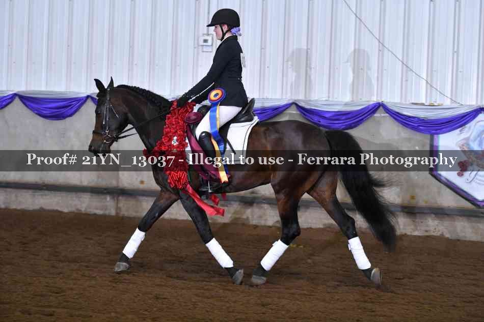 Proof 21YN_13037