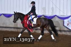21YN_13037 proof