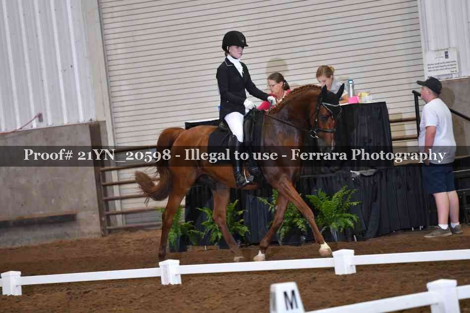 Proof 21YN_20598