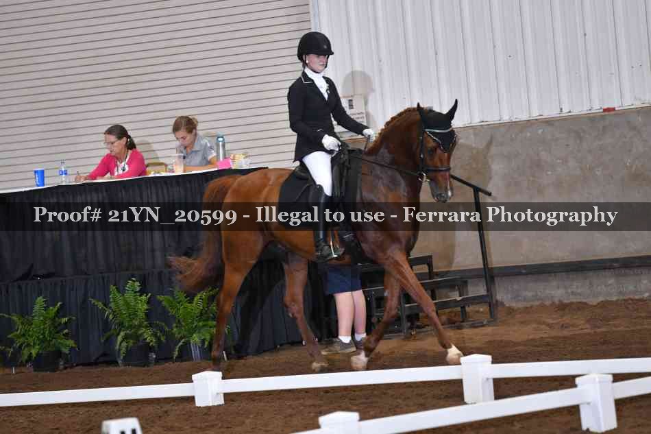 Proof 21YN_20599