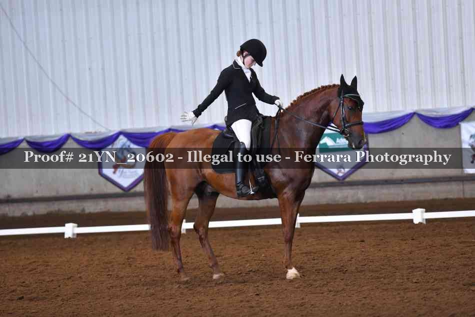 Proof 21YN_20602