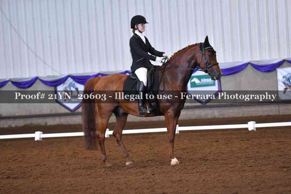 Proof 21YN_20603