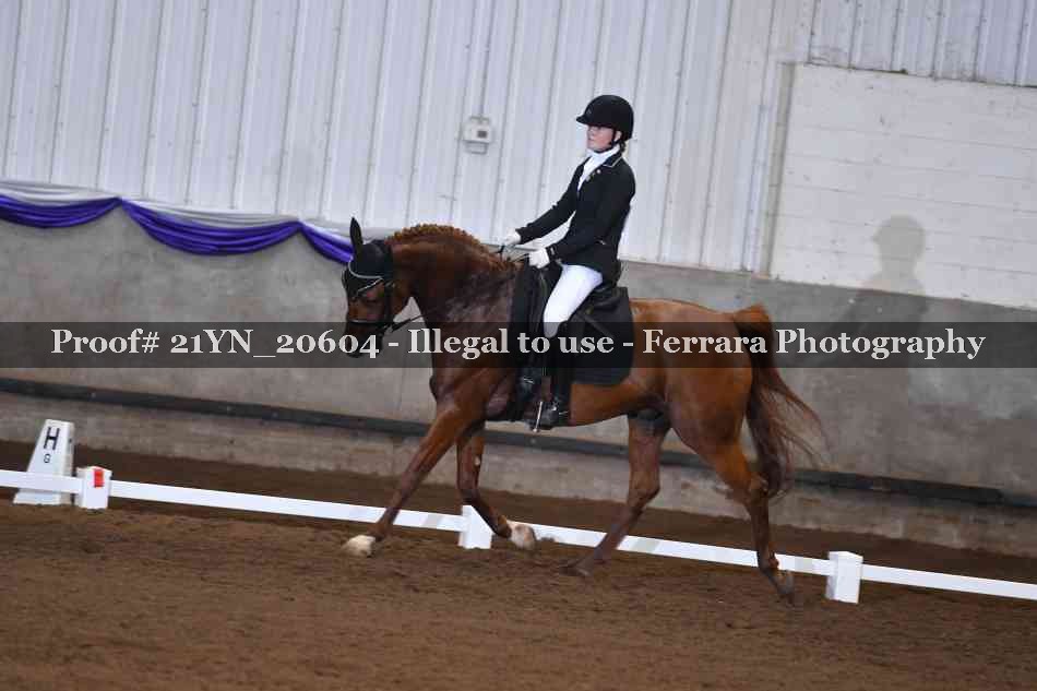 Proof 21YN_20604