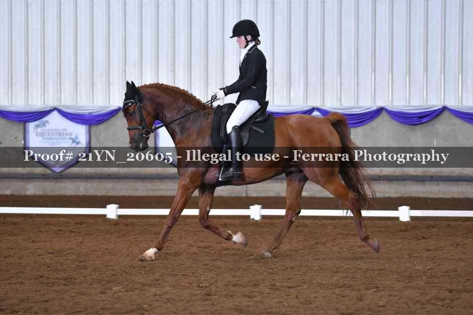 Proof 21YN_20605