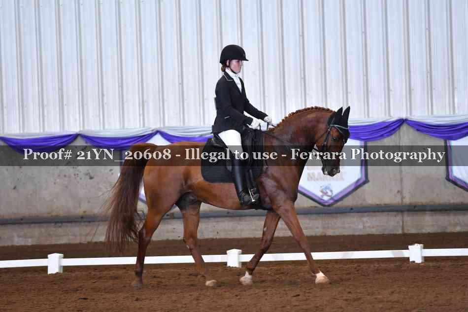 Proof 21YN_20608