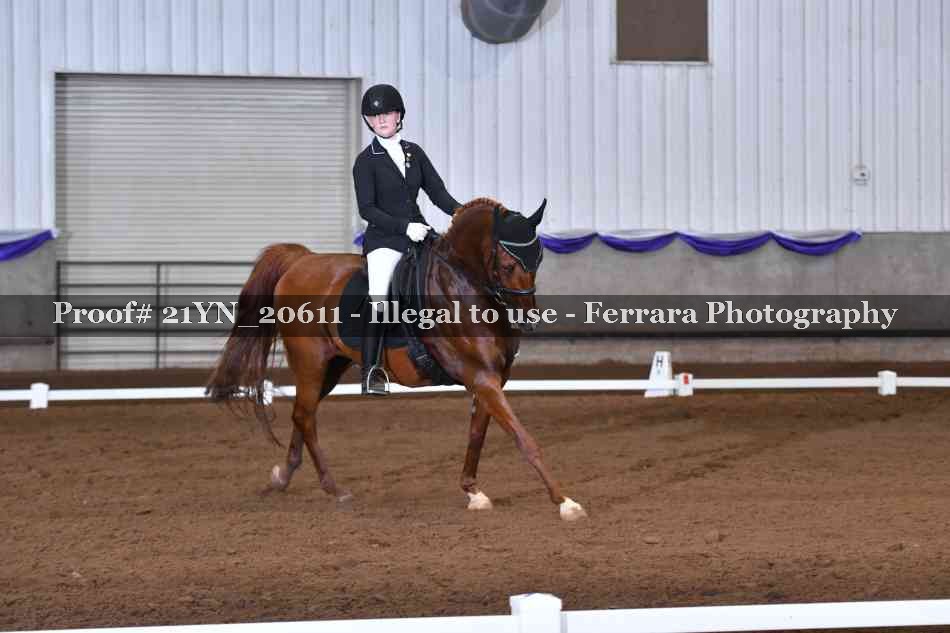 Proof 21YN_20611