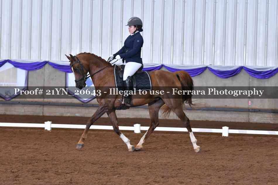 Proof 21YN_20643