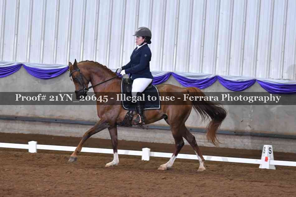 Proof 21YN_20645