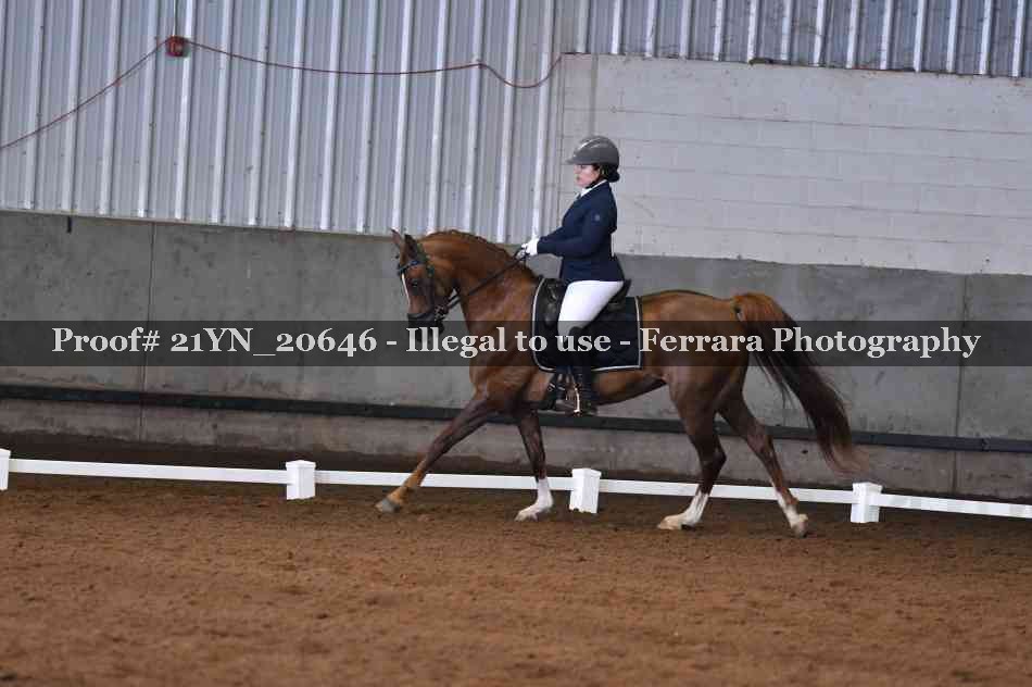 Proof 21YN_20646