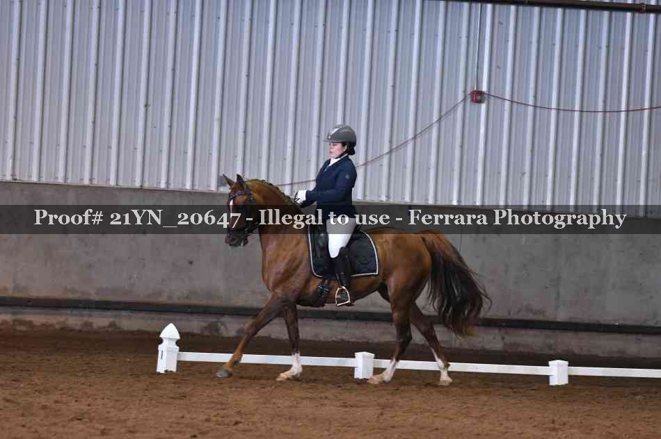 Proof 21YN_20647