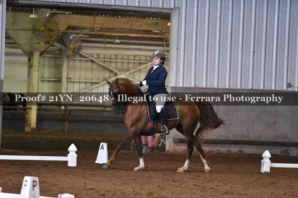 Proof 21YN_20648