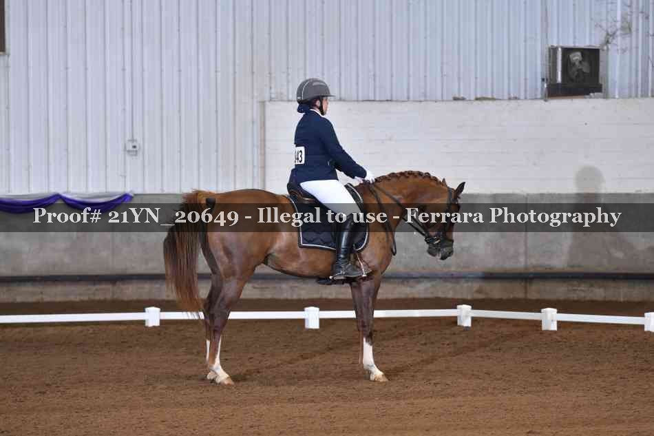 Proof 21YN_20649