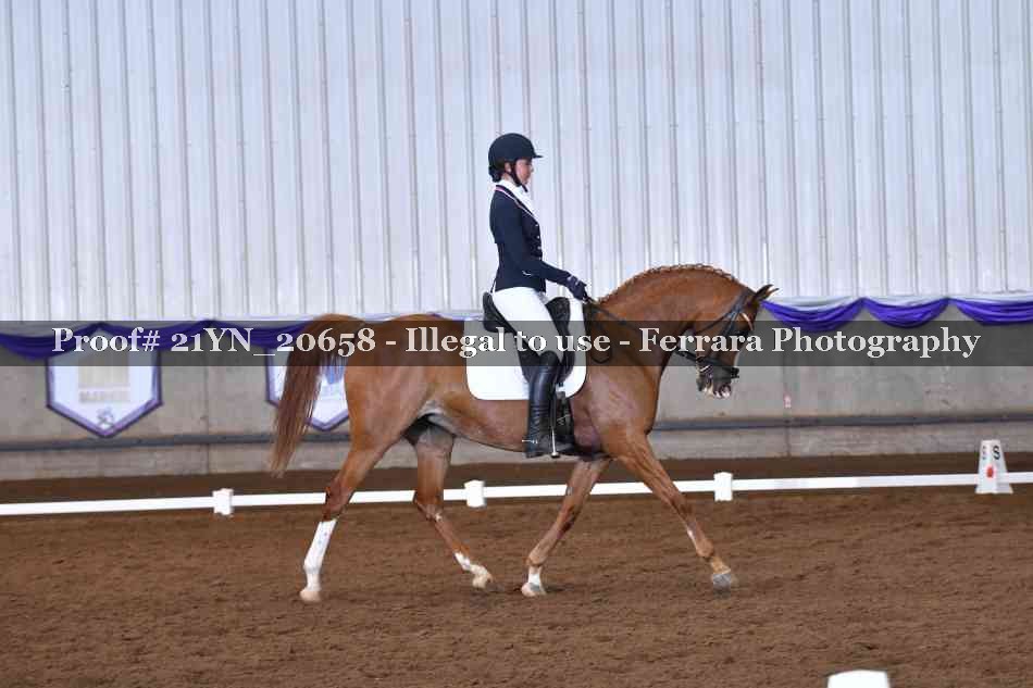 Proof 21YN_20658