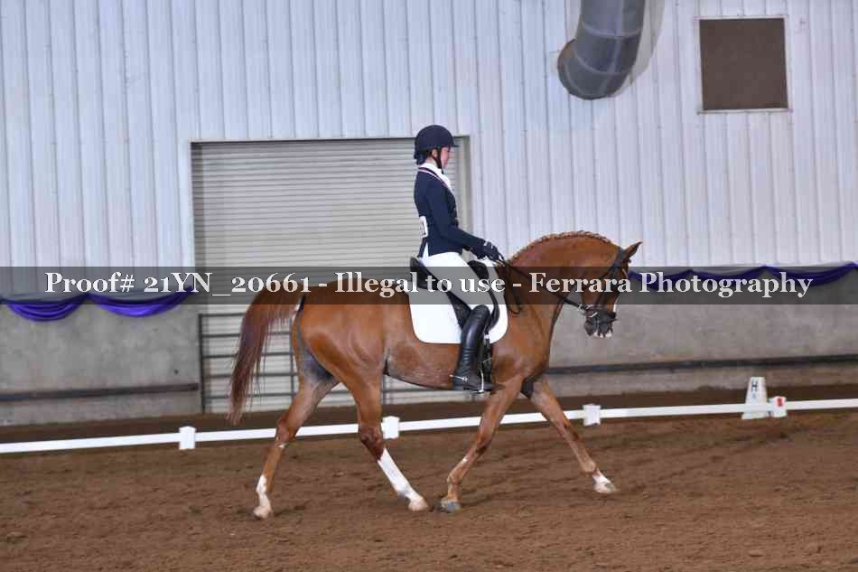 Proof 21YN_20661