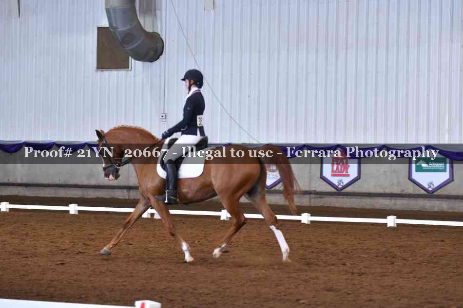 Proof 21YN_20667