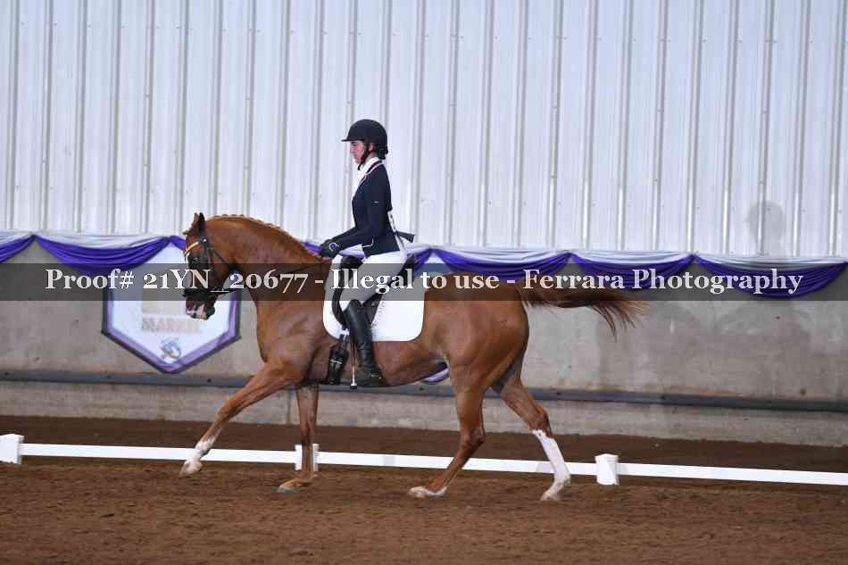 Proof 21YN_20677