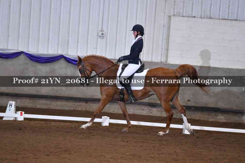 Proof 21YN_20681