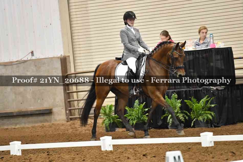 Proof 21YN_20688