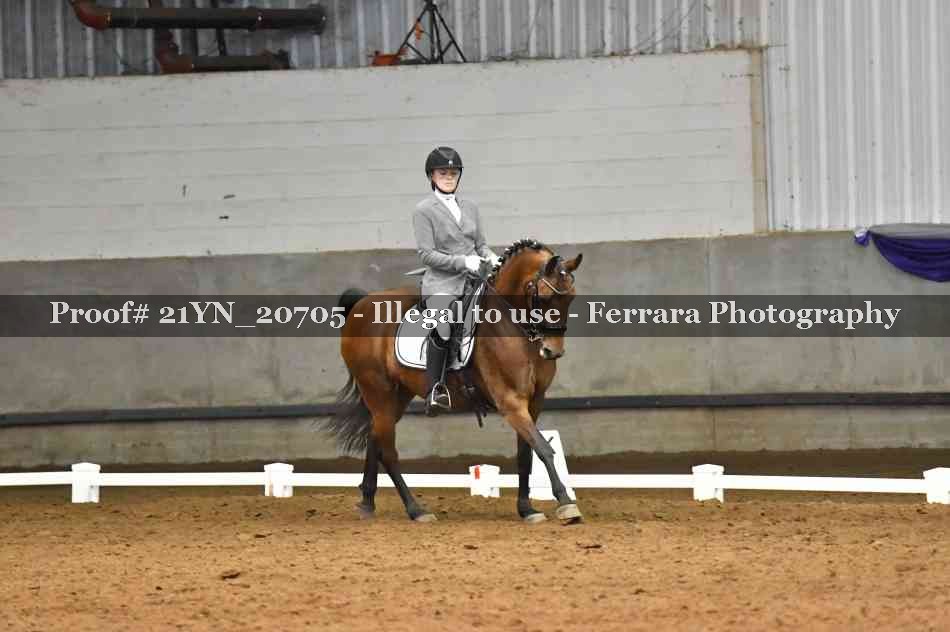 Proof 21YN_20705