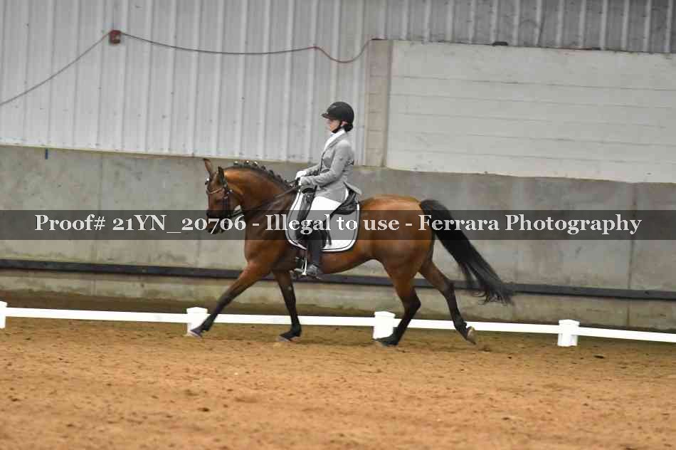Proof 21YN_20706