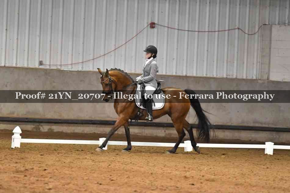 Proof 21YN_20707