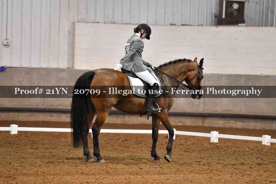 Proof 21YN_20709
