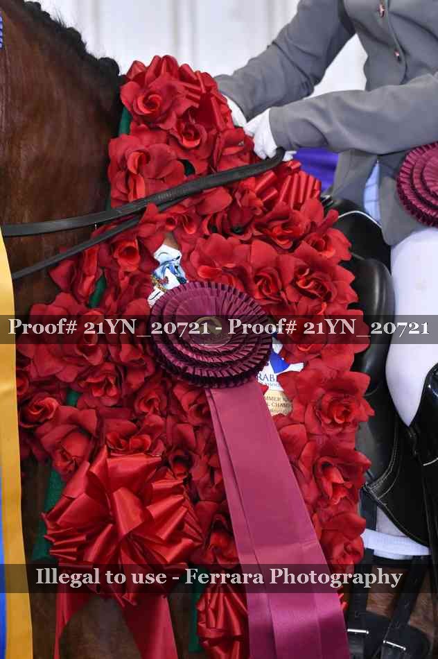 Proof 21YN_20721