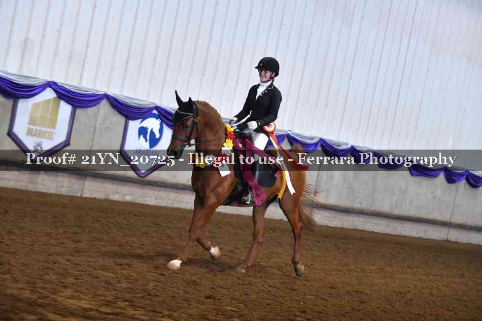 Proof 21YN_20725