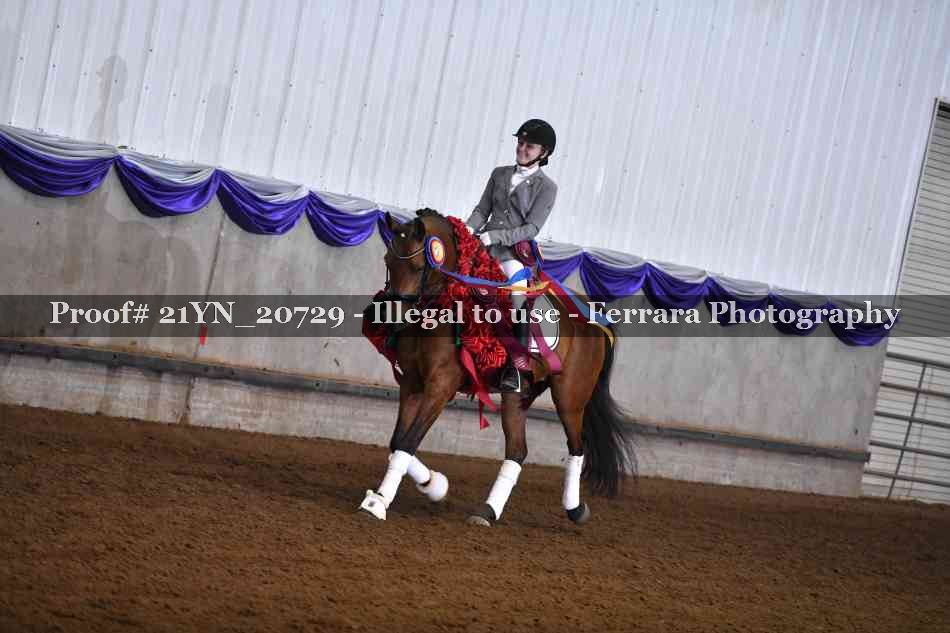 Proof 21YN_20729