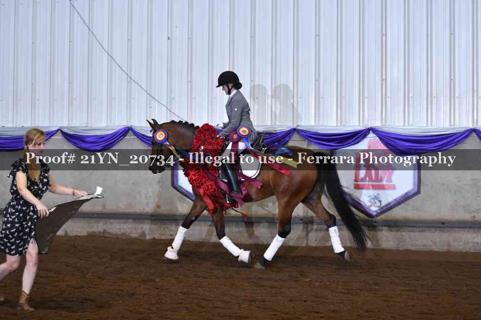 Proof 21YN_20734